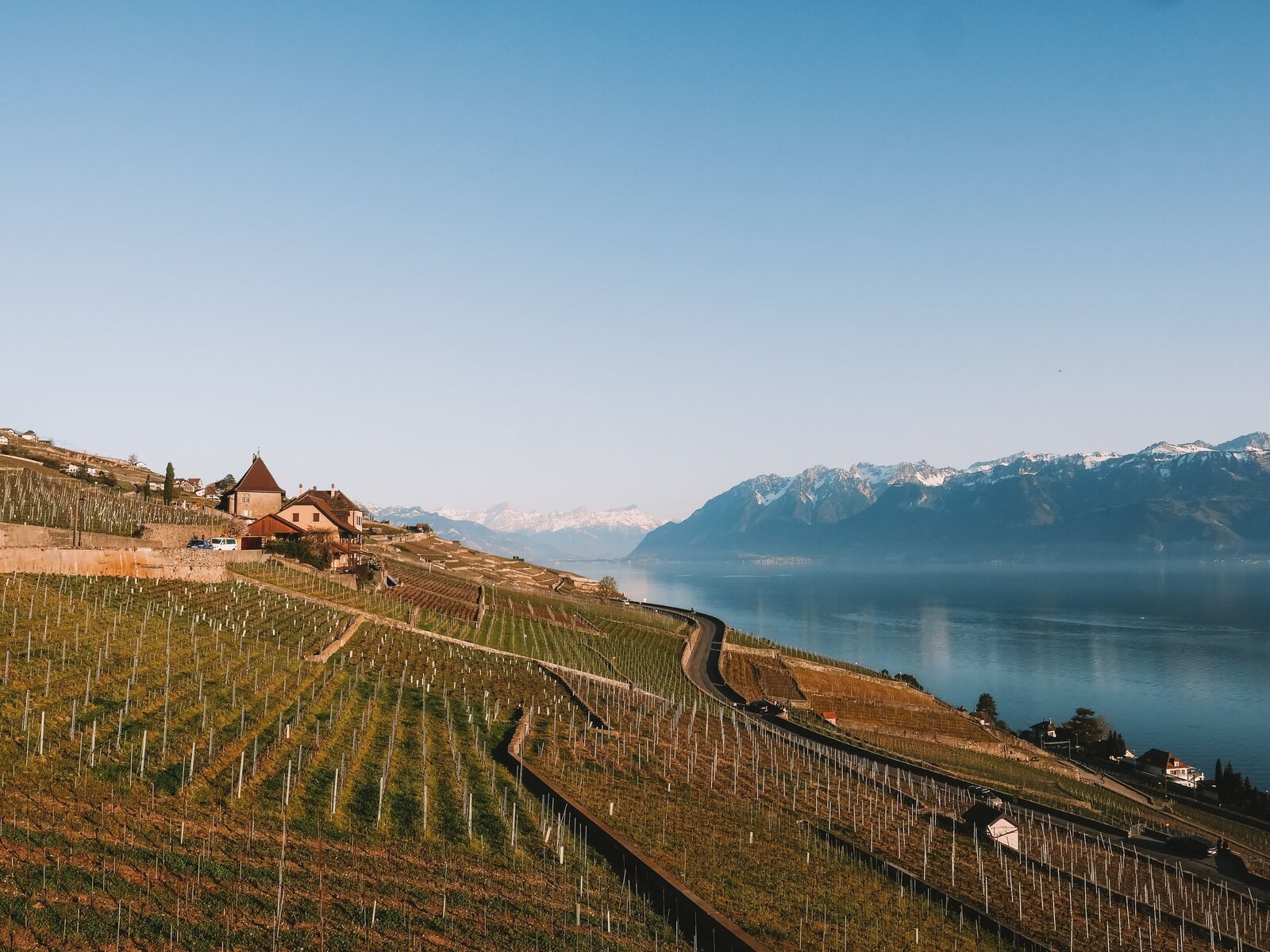 Terraced vineyards above Lake Geneva in Lavaux